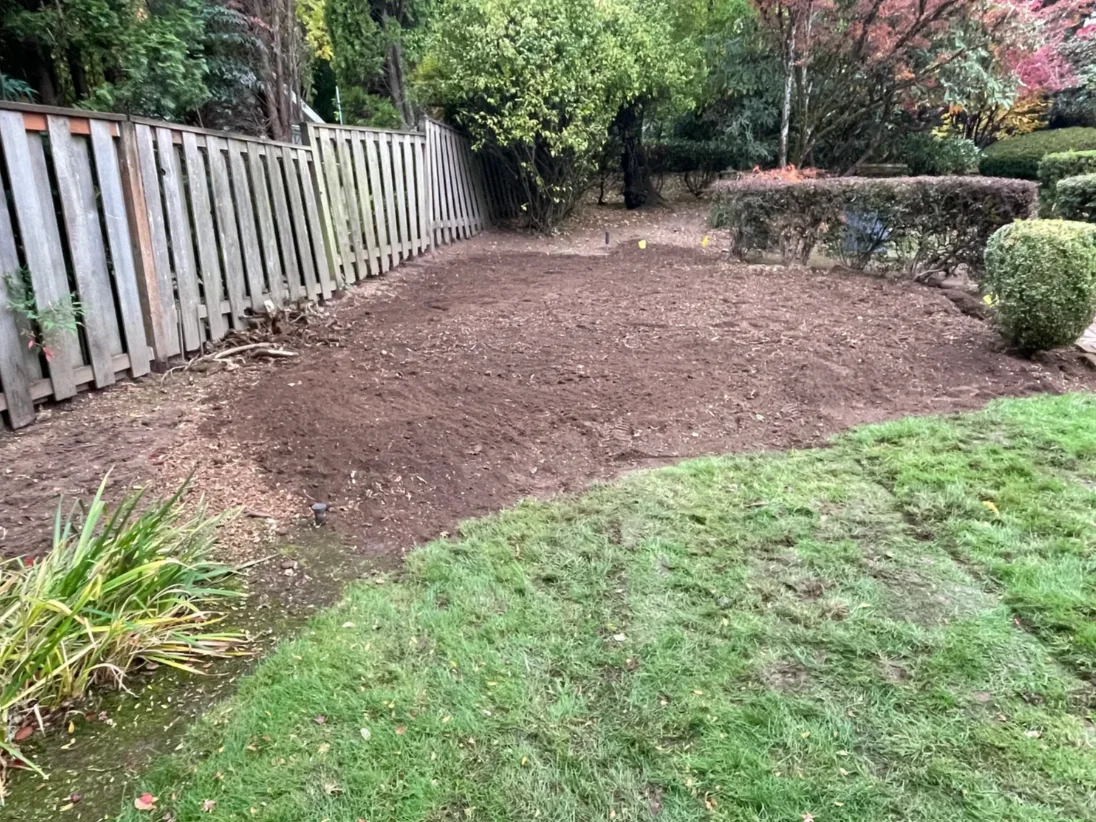 Backyard stump grinding, after the stump was ground