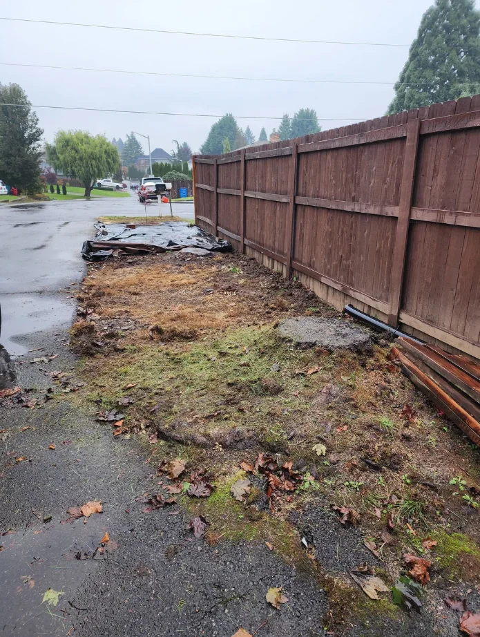 Stump beside residential landscaping, before stump grinding